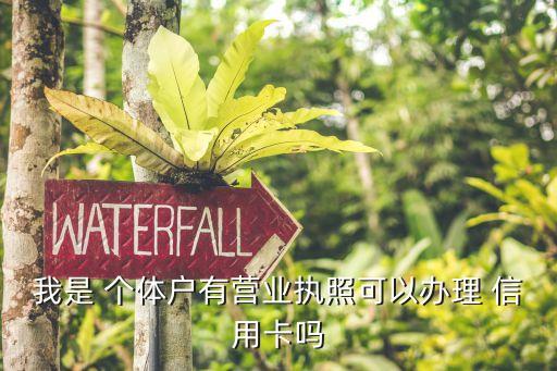 我是 个体户有营业执照可以办理 信用卡吗