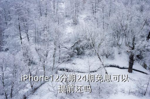 iPhone12分期24期免息可以提前还吗