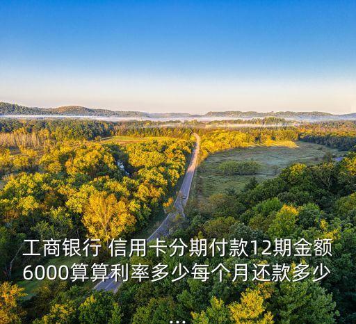 工商银行 信用卡分期付款12期金额6000算算利率多少每个月还款多少...