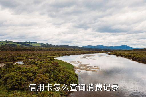  信用卡怎么查询消费记录
