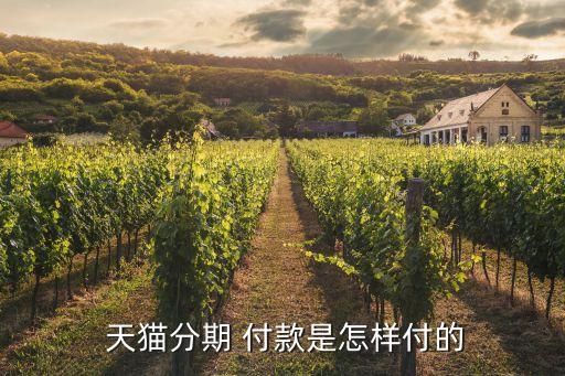  天猫分期 付款是怎样付的