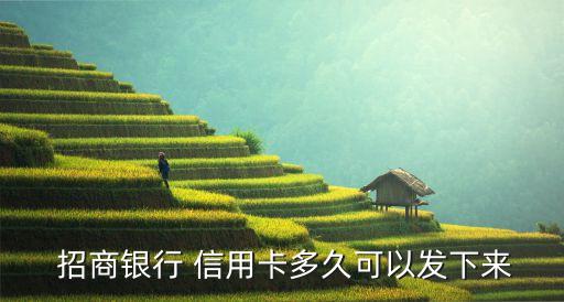  招商银行 信用卡多久可以发下来