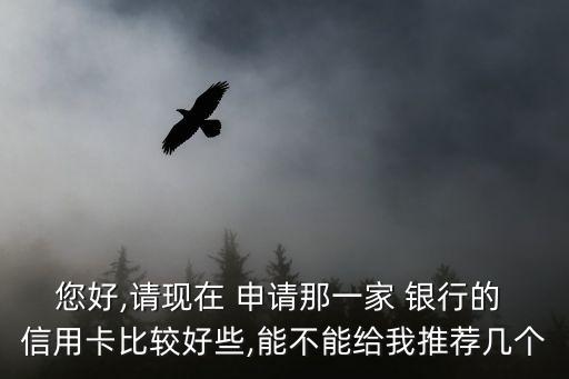 您好,请现在 申请那一家 银行的 信用卡比较好些,能不能给我推荐几个