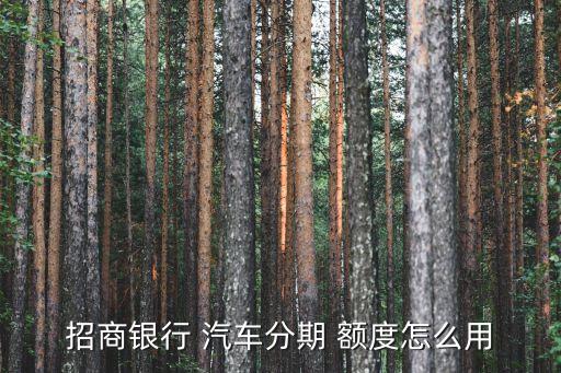 招商银行 汽车分期 额度怎么用