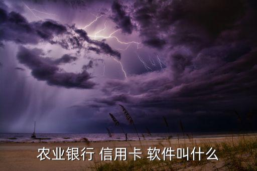 农业银行 信用卡 软件叫什么