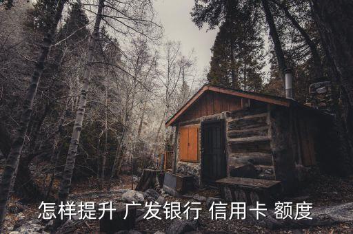 怎样提升 广发银行 信用卡 额度