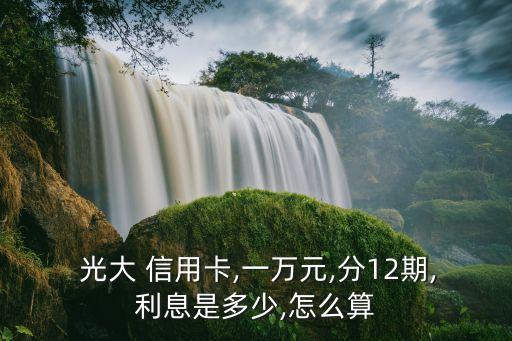  光大 信用卡,一万元,分12期,利息是多少,怎么算