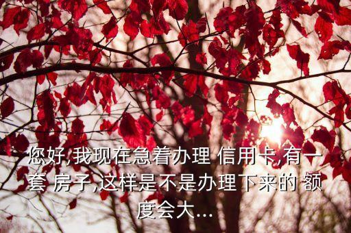 您好,我现在急着办理 信用卡,有一套 房子,这样是不是办理下来的 额度会大...