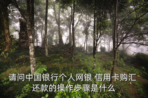 请问中国银行个人网银 信用卡购汇 还款的操作步骤是什么