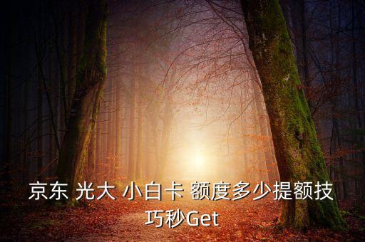 光大银联小白卡信用卡额度,光大信用卡visa和银联是用一个额度吗