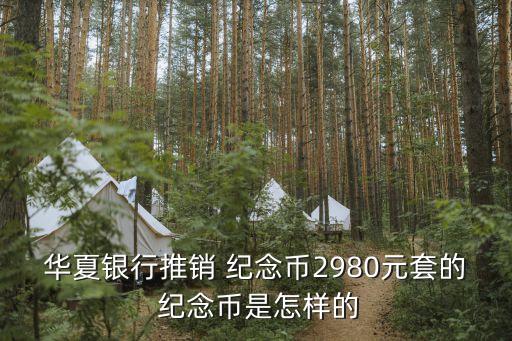 华夏银行推销 纪念币2980元套的 纪念币是怎样的