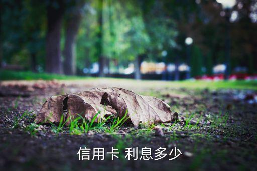 信用卡 利息多少
