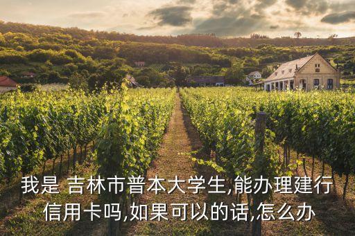 我是 吉林市普本大学生,能办理建行 信用卡吗,如果可以的话,怎么办