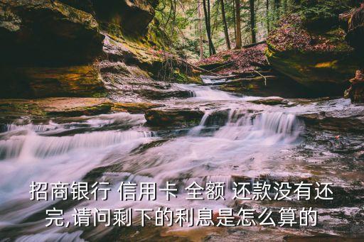 招商银行 信用卡 全额 还款没有还完,请问剩下的利息是怎么算的