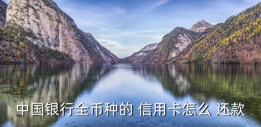 中国银行全币种的 信用卡怎么 还款