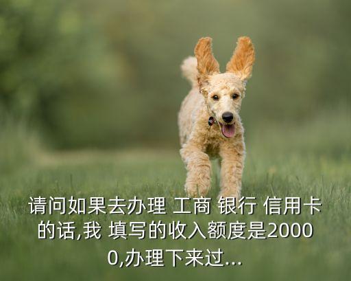 请问如果去办理 工商 银行 信用卡的话,我 填写的收入额度是20000,办理下来过...