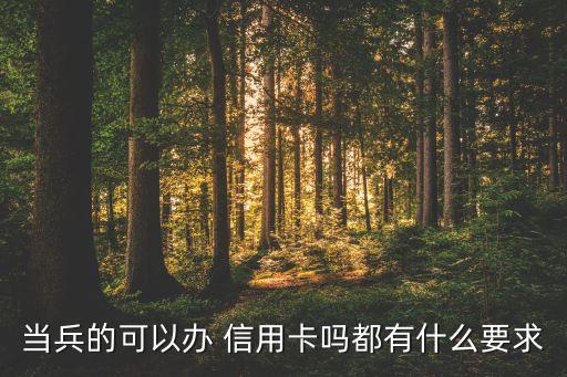 当兵的可以办 信用卡吗都有什么要求