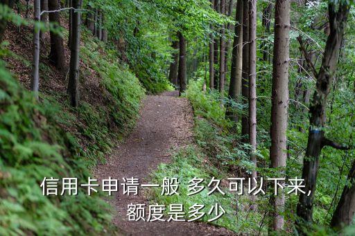 信用卡额度十万多久批下来