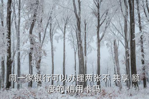 同一家银行可以办理两张不 共享 额度的 信用卡吗