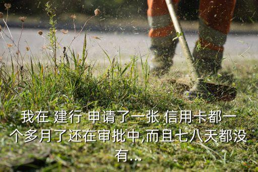 建行信用卡申请后没更新