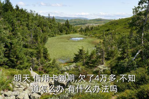 明天 信用卡到期,欠了4万多,不知道怎么办,有什么办法吗