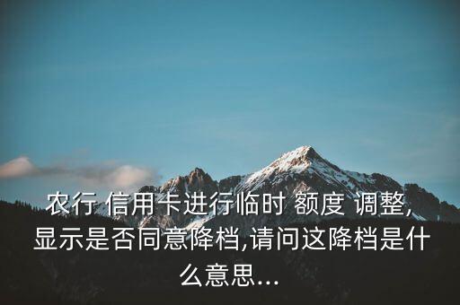 信用卡额度显示可调整什么意思