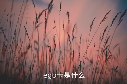  ego卡是什么