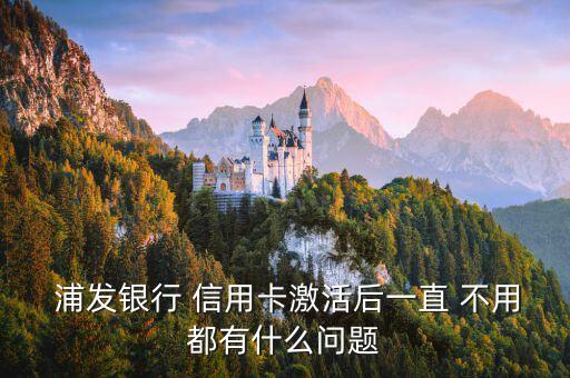  浦发银行 信用卡激活后一直 不用都有什么问题