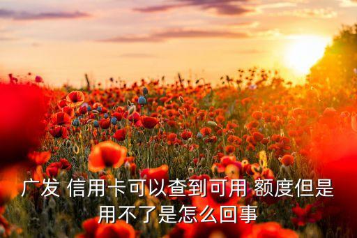 广发 信用卡可以查到可用 额度但是用不了是怎么回事
