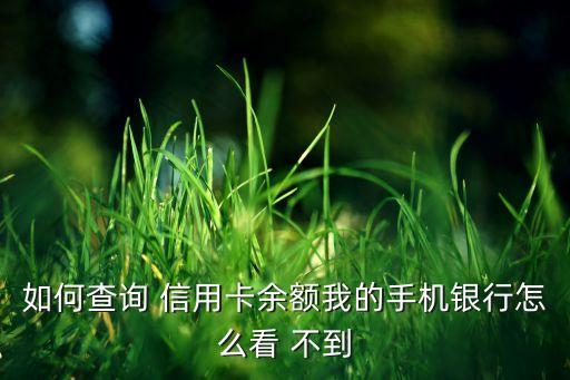 如何查询 信用卡余额我的手机银行怎么看 不到