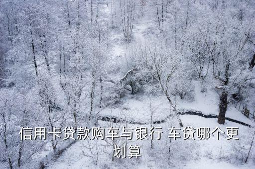 信用卡分期买车还是车贷,20岁分期买车车贷容易通过吗