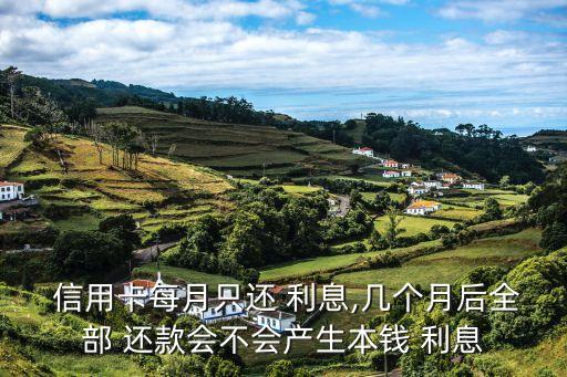  信用卡每月只还 利息,几个月后全部 还款会不会产生本钱 利息