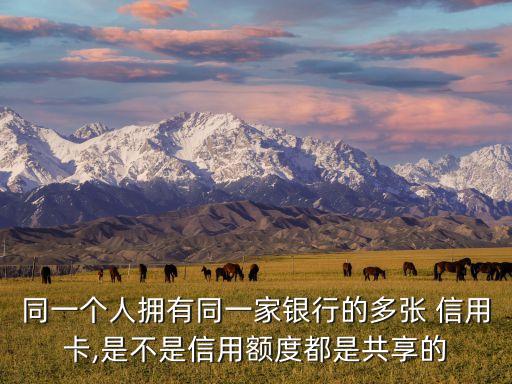 同一个人拥有同一家银行的多张 信用卡,是不是信用额度都是共享的