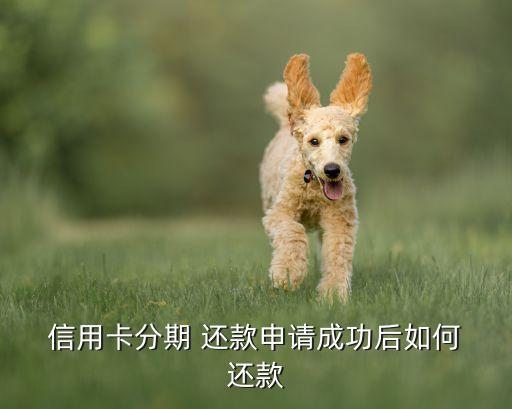 信用卡激活后显示怎么还款