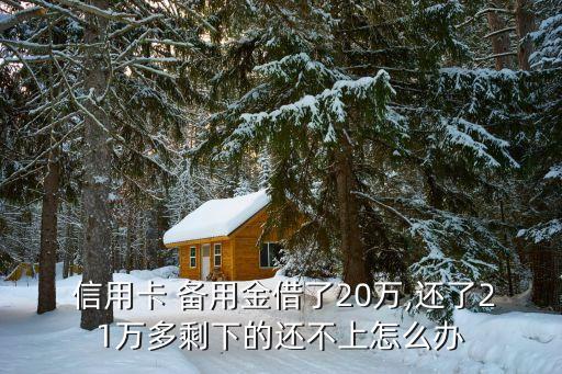  信用卡 备用金借了20万,还了21万多剩下的还不上怎么办