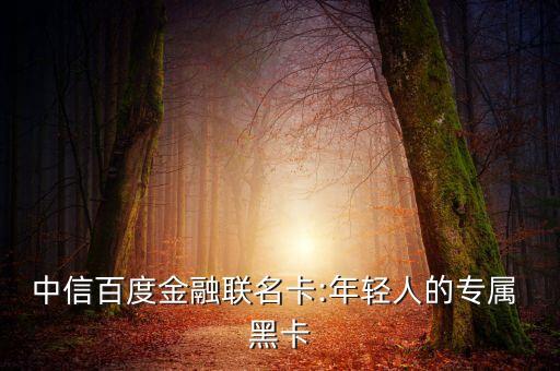 中信百度金融联名卡:年轻人的专属 黑卡
