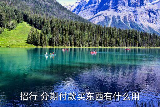 招行 分期付款买东西有什么用