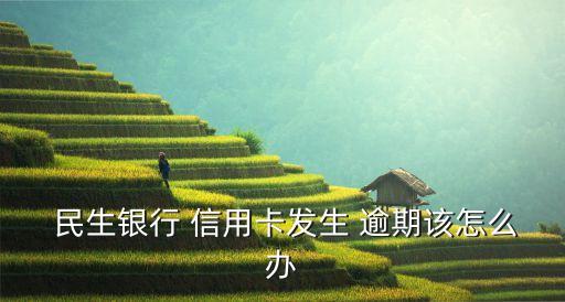 民生信用卡逾期本金两次还
