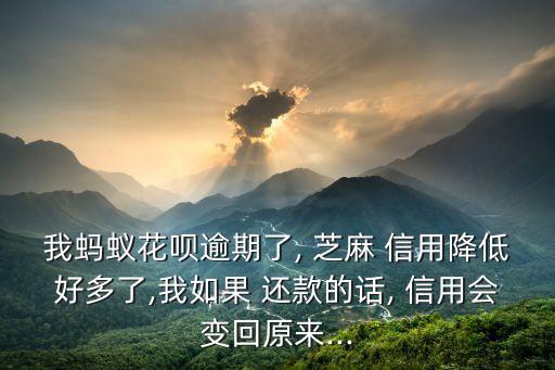 我蚂蚁花呗逾期了, 芝麻 信用降低好多了,我如果 还款的话, 信用会变回原来...