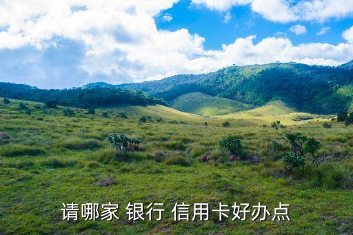 请哪家 银行 信用卡好办点