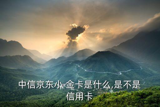  中信京东小 金卡是什么,是不是 信用卡