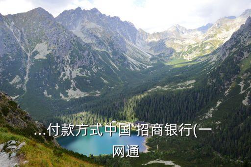 ...付款方式中国 招商银行(一 网通