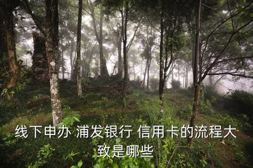 线下申办 浦发银行 信用卡的流程大致是哪些