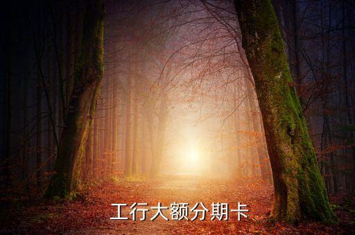  工行大额分期卡