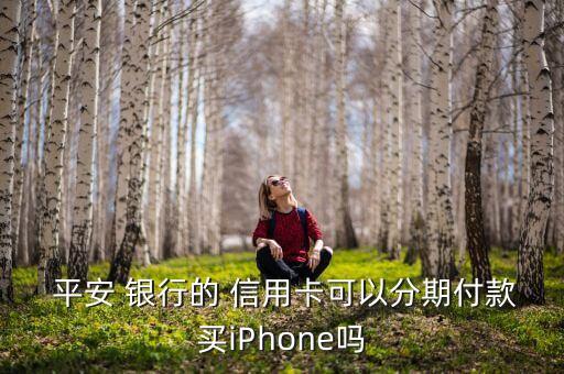  平安 银行的 信用卡可以分期付款买iPhone吗