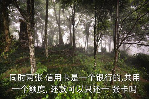 同时两张 信用卡是一个银行的,共用一个额度, 还款可以只还一 张卡吗