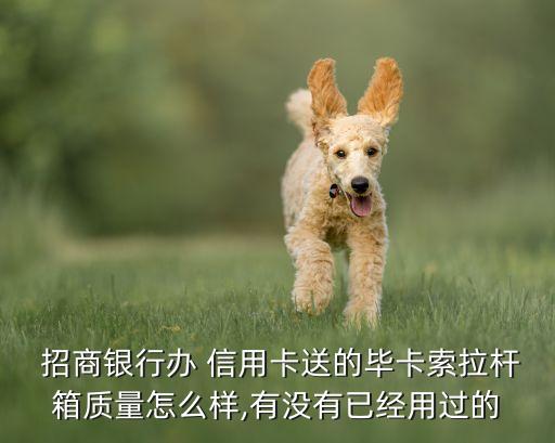  招商银行办 信用卡送的毕卡索拉杆箱质量怎么样,有没有已经用过的