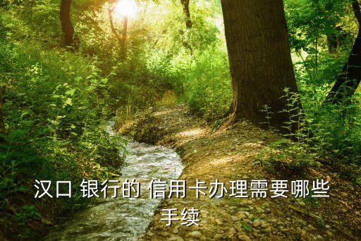  汉口 银行的 信用卡办理需要哪些手续