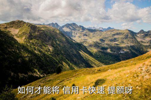 如何才能将 信用卡快速 提额呀