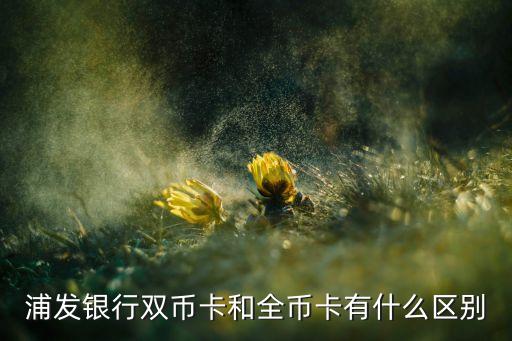 浦发银行双币卡和全币卡有什么区别